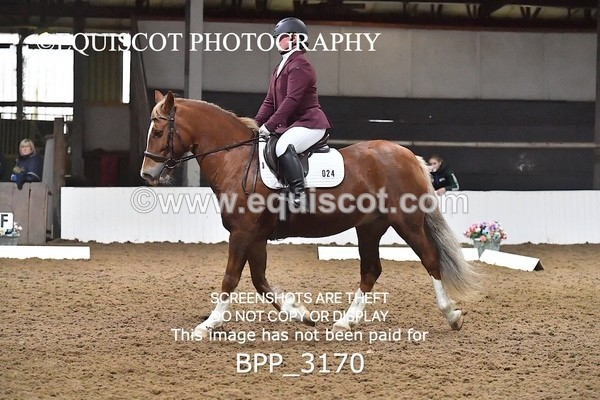 BPP_3170 - INTRO TEST 3