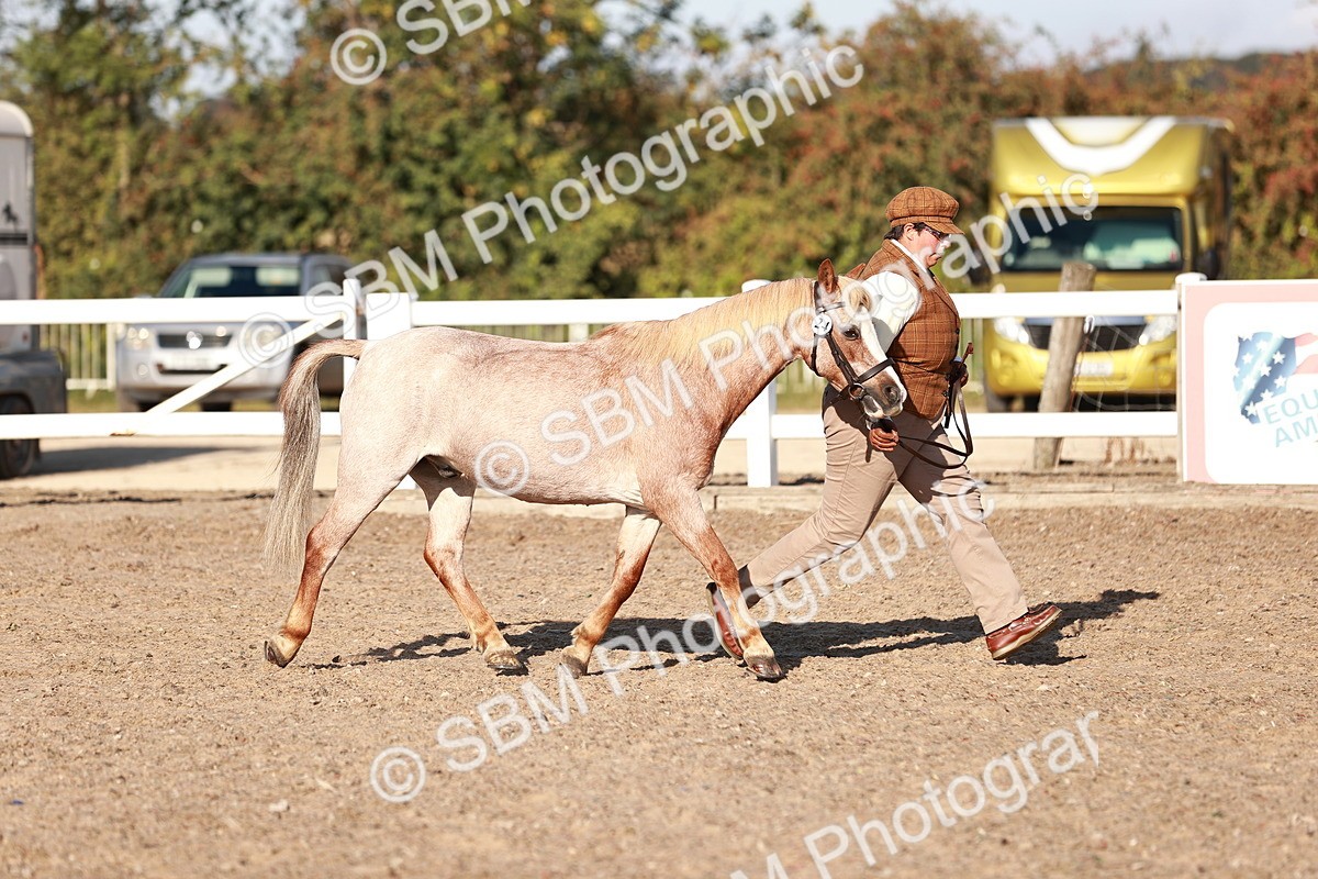 SBM_11385 - Class 402 - IH  Veteran pony