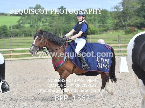 BPP_1562 - DERBY CLASS 3 - 40CM