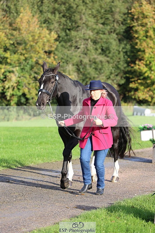 251026A-095341-22558 - D-315-Georgina.Marks