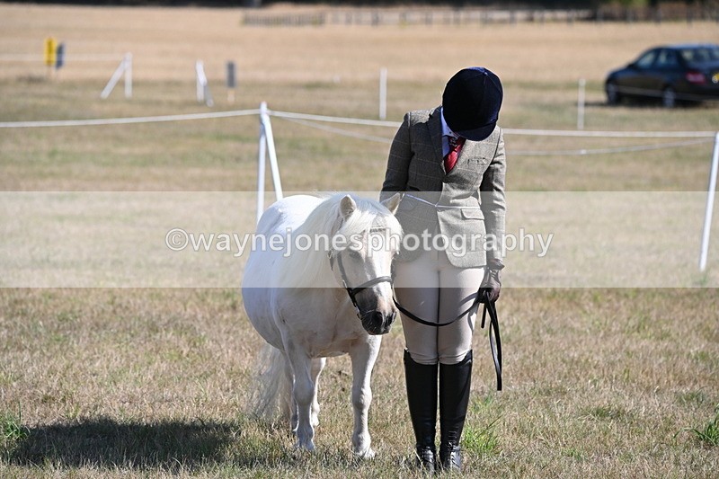 WJ6_4274 - Class 16 Condition & Turn Out