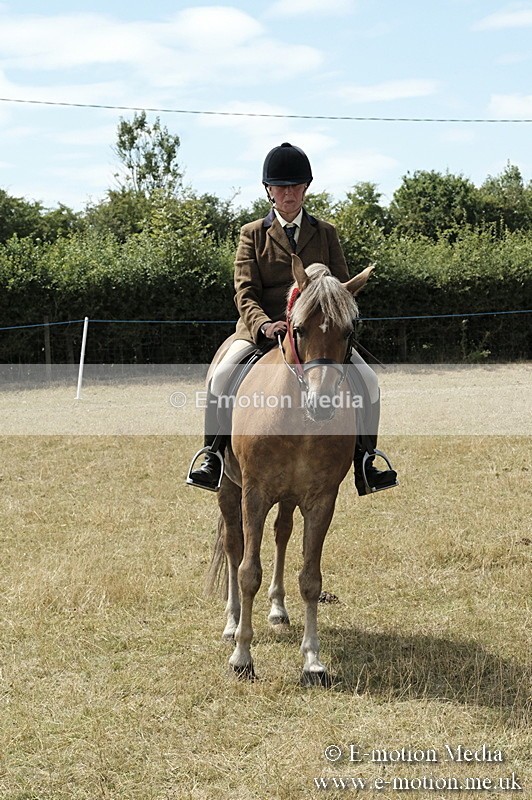 _PJP5992 - BVRC Show 2018 Ring 1