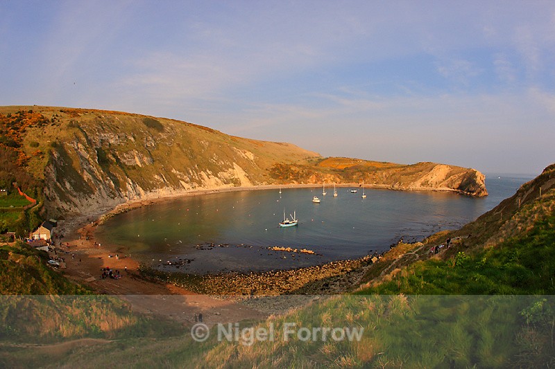 Lulworth Cove in late afternoon light - Dorset, England