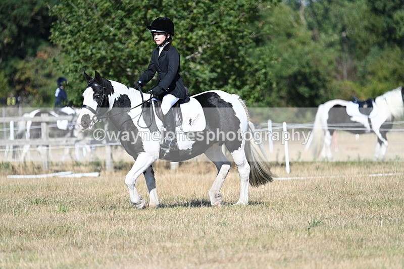 WJ7_9393 - Time 10:08 to 10:13