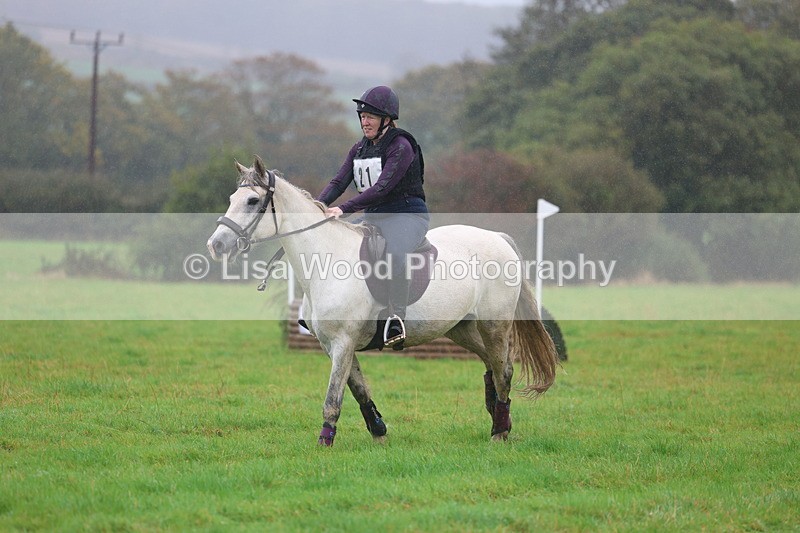 3E7A0988 - Class 1: 65cm: Rails