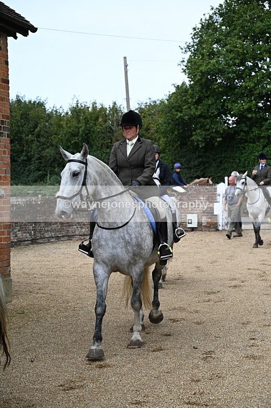 WJ7_6823 - Berks & Bucks at Blandy’s Farm 31-08-25