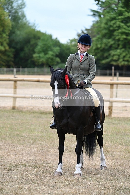 WJ7_0676 - Class 6 Ridden Mountain and Moorland