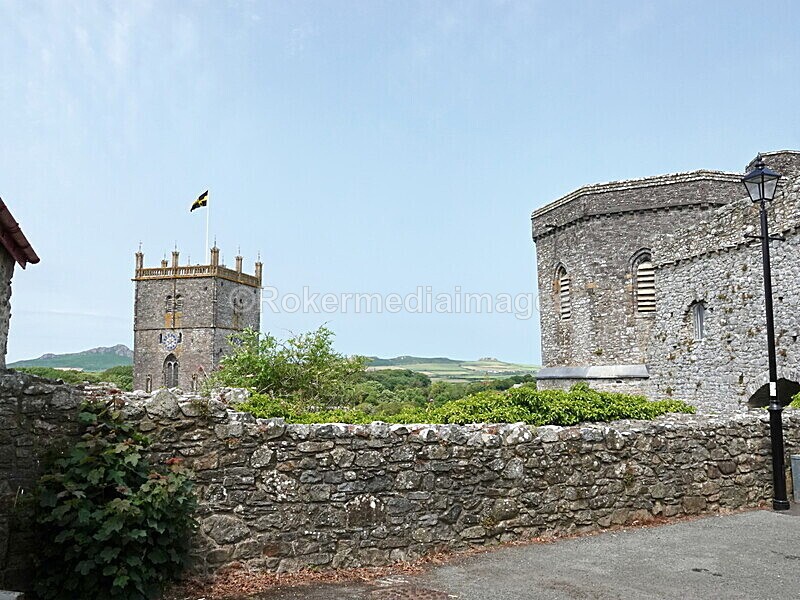 DSC00455 - Skomer 2019
