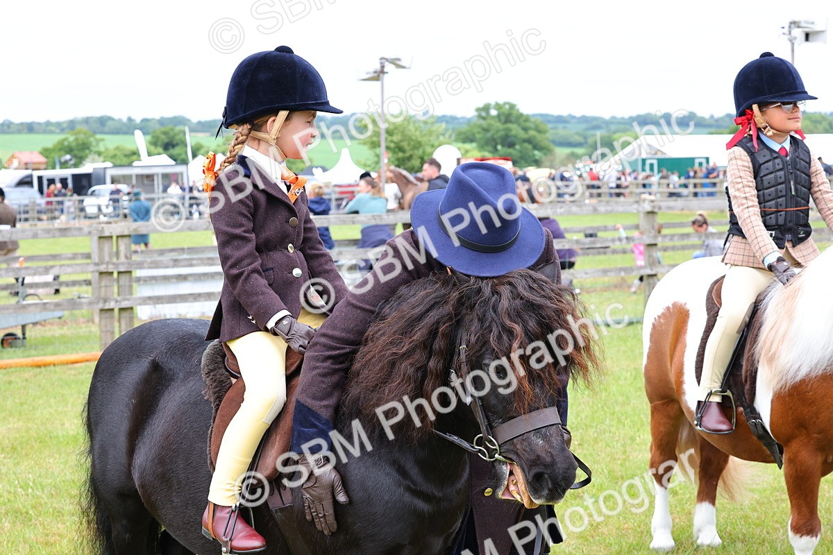 SBM_08351 - Class 42-43 - LIHS BSPS Heritage Working Sports Pony