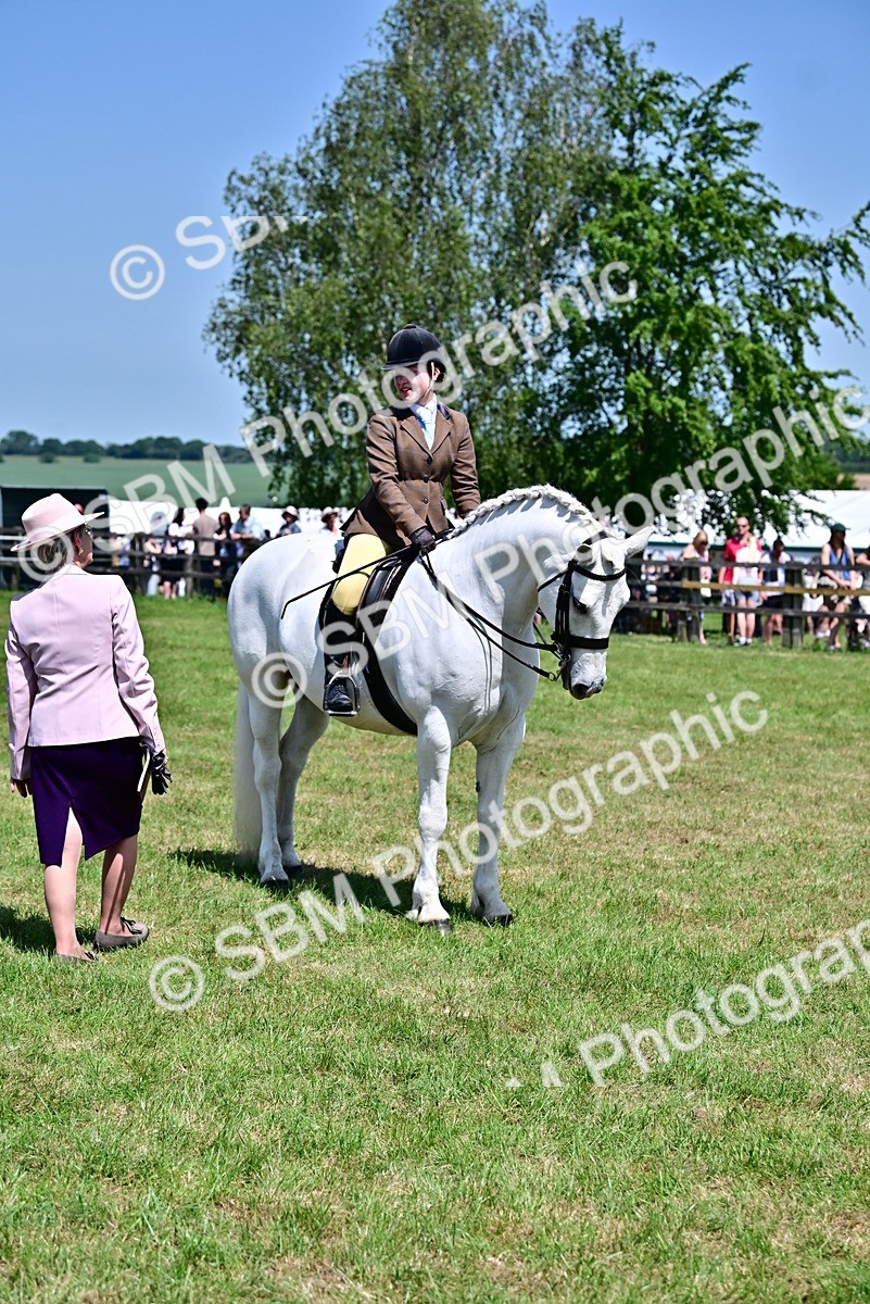 SBM_15329 - Class 95-97 - BSPS LHS Performance Ponies
