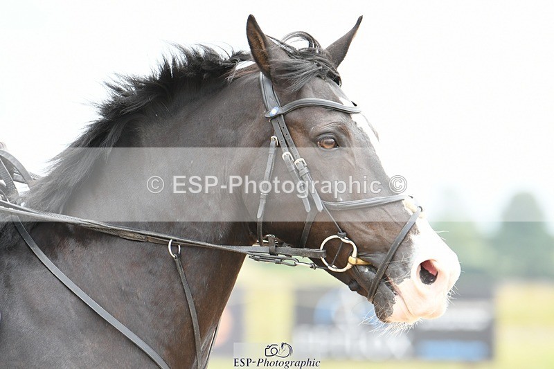 250807-135455-01422 - 90cm Round 2