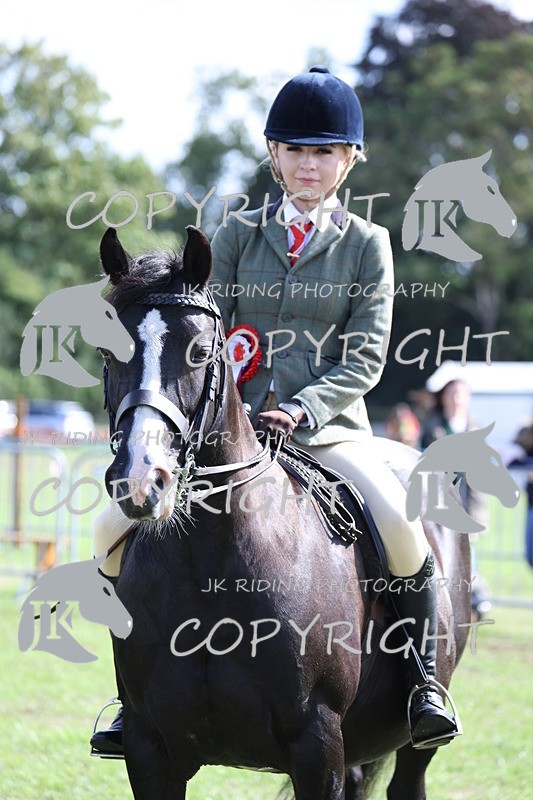 APP_3712 - Class 12 M&M ridden