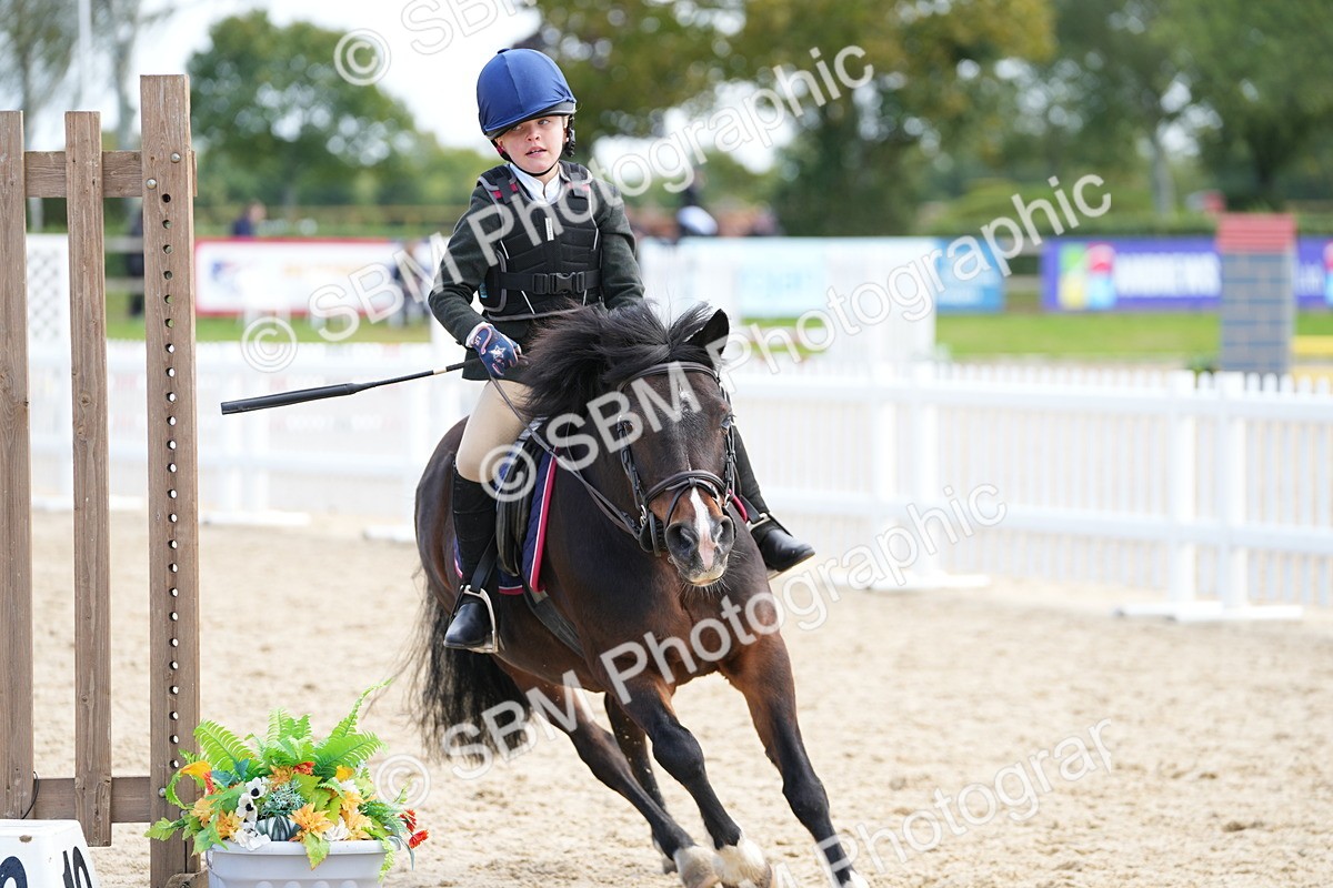 SBM_21335 - J49 - Open 50cm