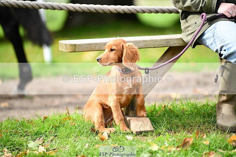 251004A-140001-01528 - Classes 8 & 9 70cm