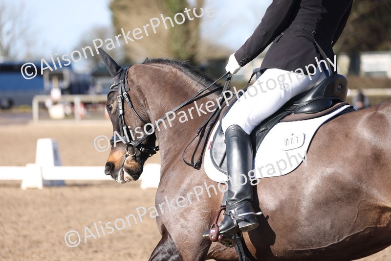 20260214-0468 - Class 5 - Novice 3