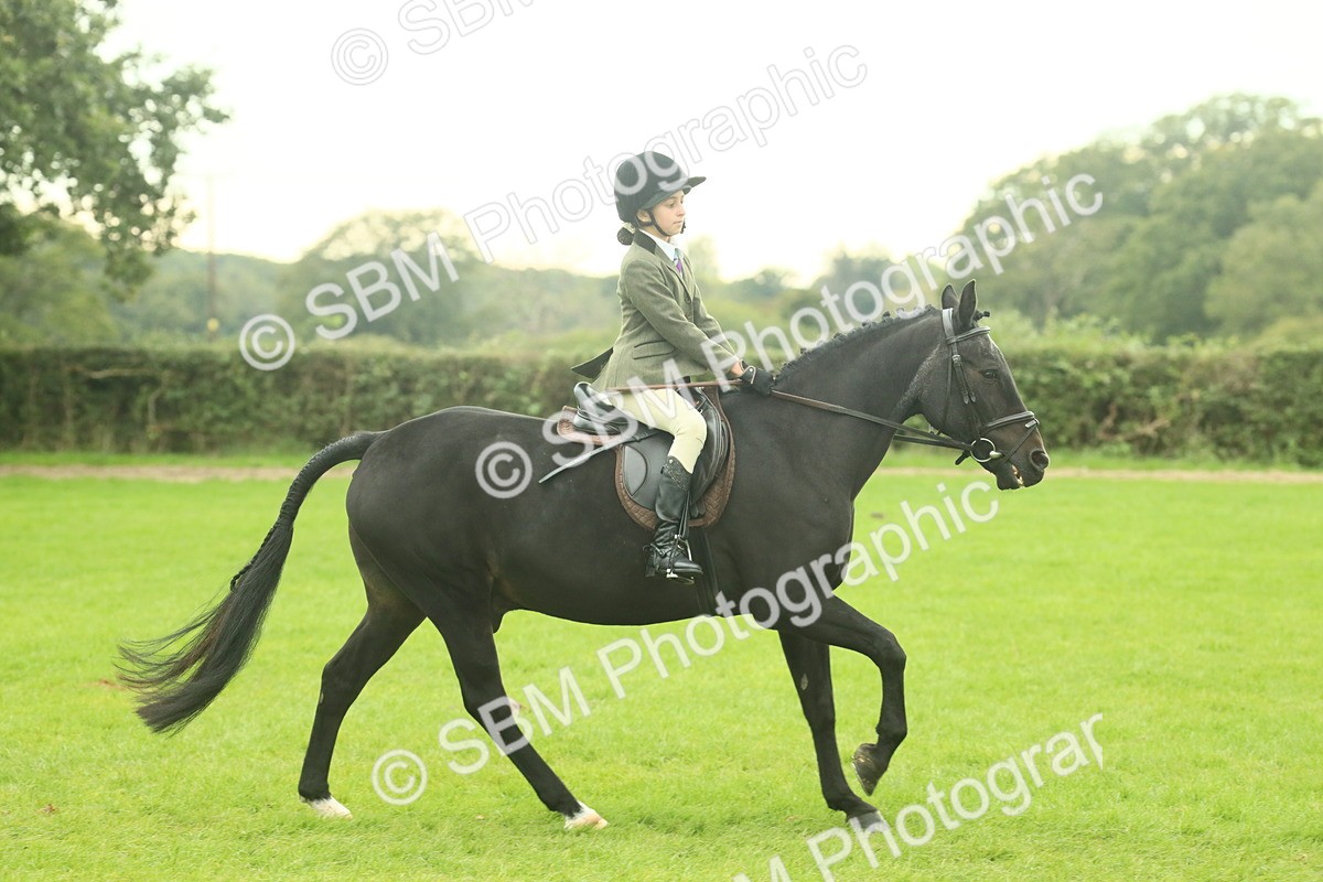 SBM_73933 - S 61 - Show Pony & Show Hunter Pony Ridden