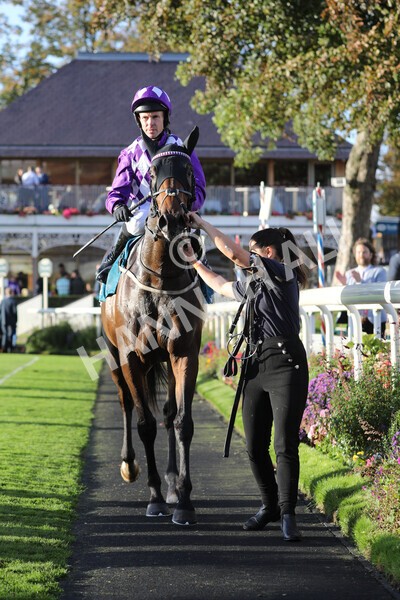 yr07102022r6-37 - Race 6 5.00pm William Hill Lengthen Your Odds EBF Novice Stakes