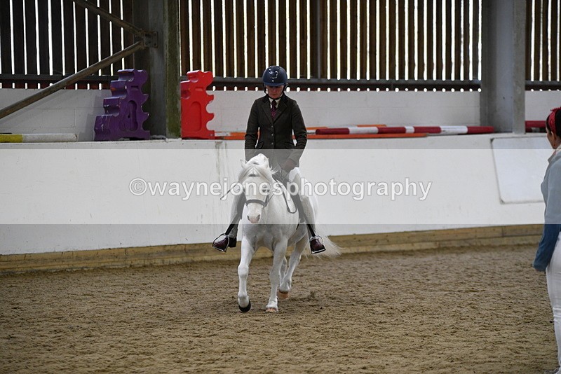 WJ5_6273 - Class 9 Ridden Veteran