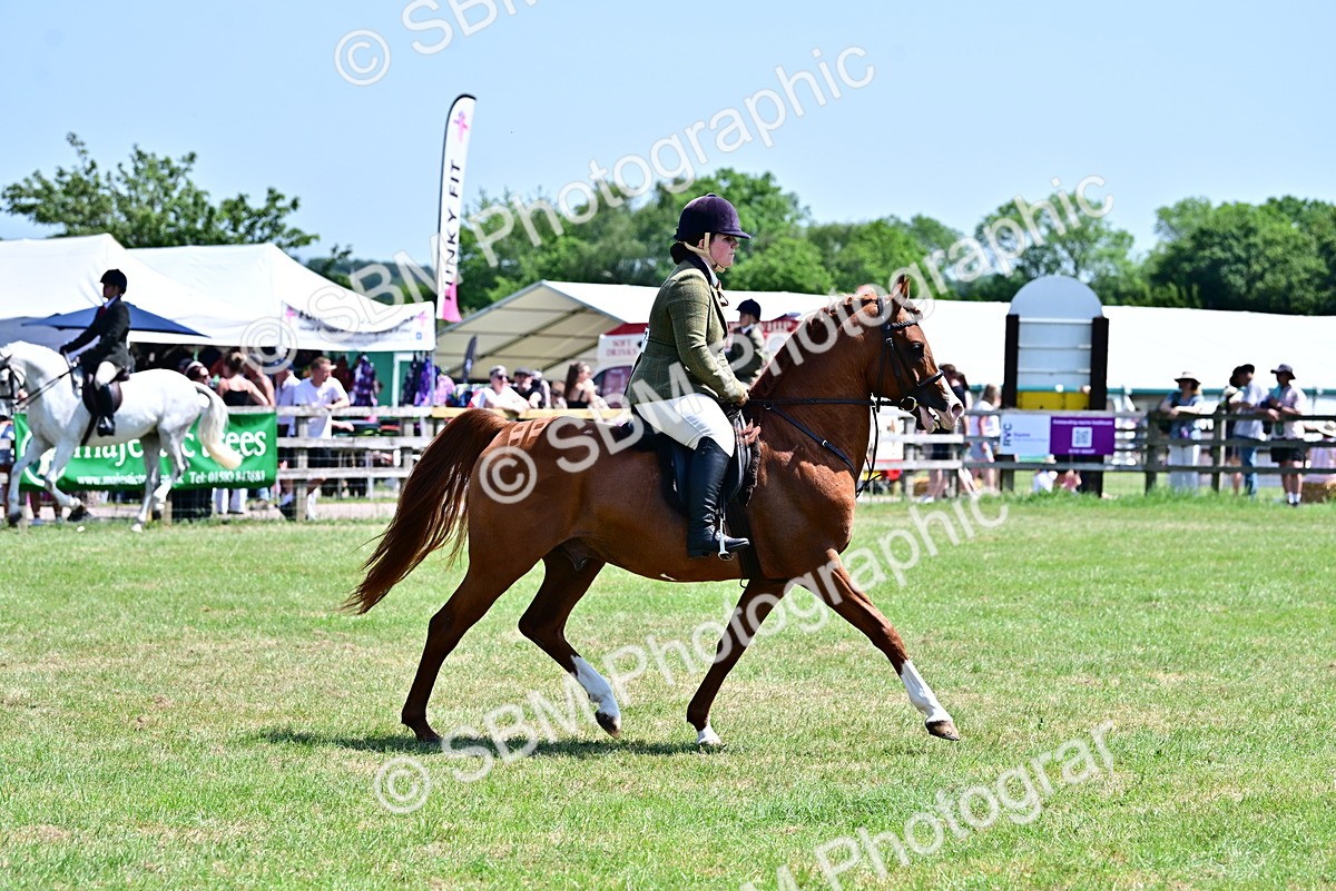 SBM_17419 - Class 95-97 - BSPS LHS Performance Ponies