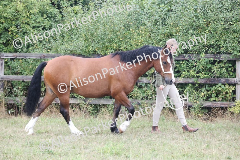 20250831-3016 - Class 23 - Child Handler