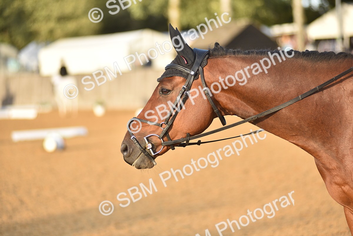 SBM_29850 - D16 -Small Tour Championship Novice 2