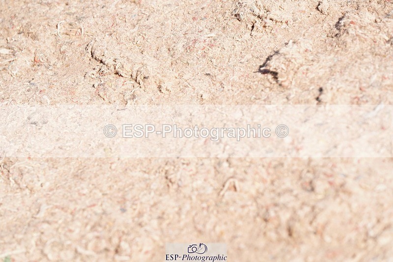 250510-093544-10085 - Cls 14 Snr 1.20m Open