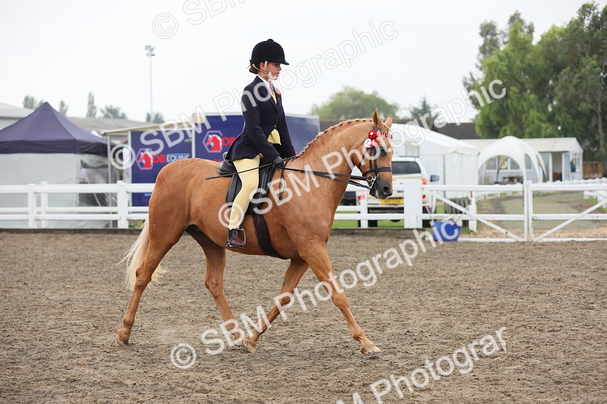 SBM_22331 - Class 807 - Young Rider 11 to 16 Yrs