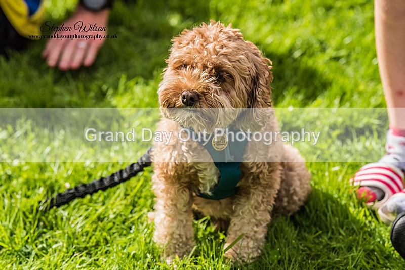 Beetham-735 - Beetham Sports Fell Race Saturday 29th July 2023
