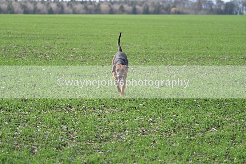 WJ7_3517 - Camera A