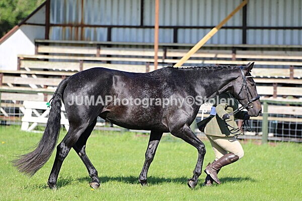 SIAL5773 - Ring 1 & 3