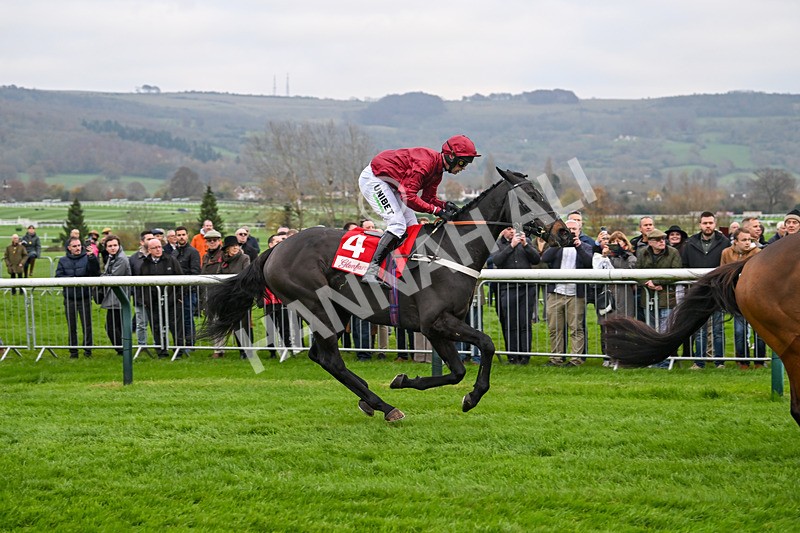 151124-Race 4-Mister Coffey-8186 - Race 4