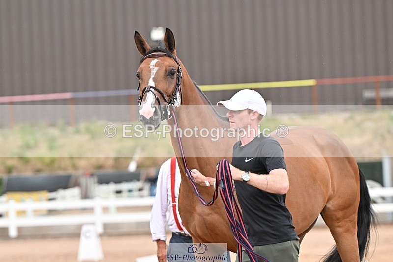 250716-161333-02507 - Trot Up 3.30 to 4.30