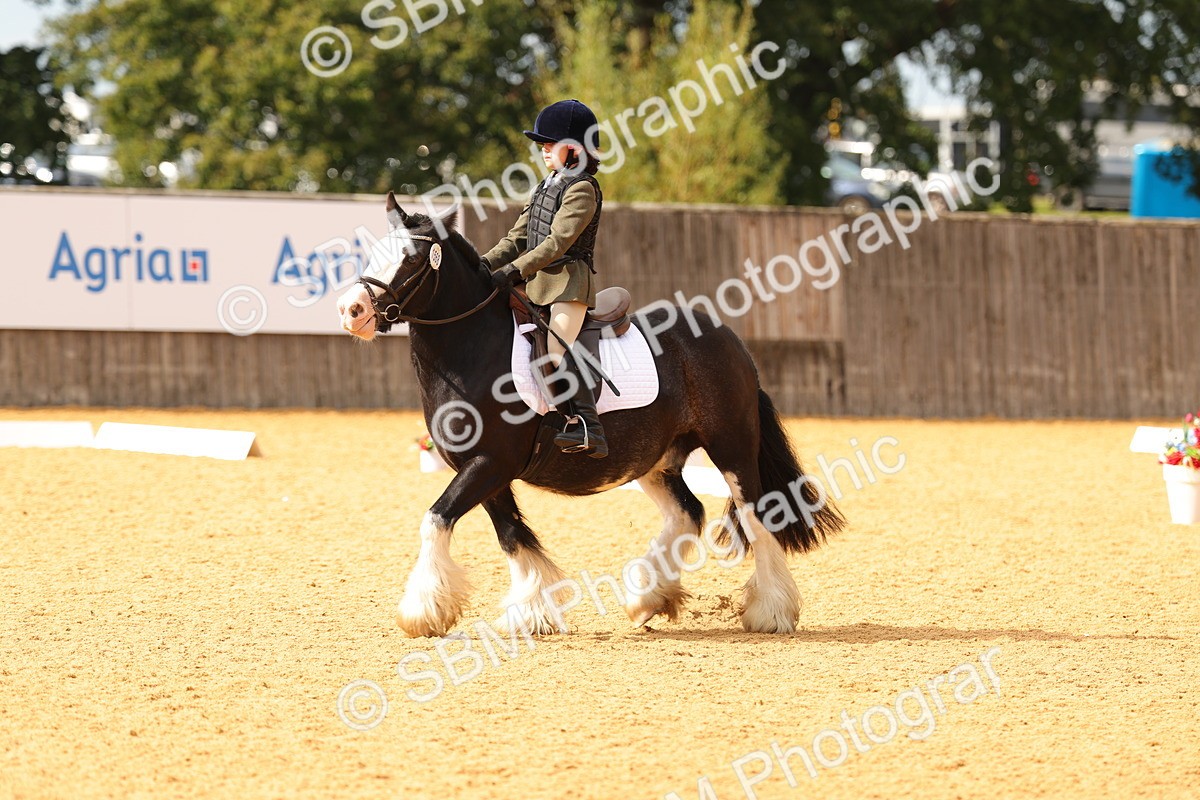 SBM_48225 - D22 - Junior Championship - Intro B