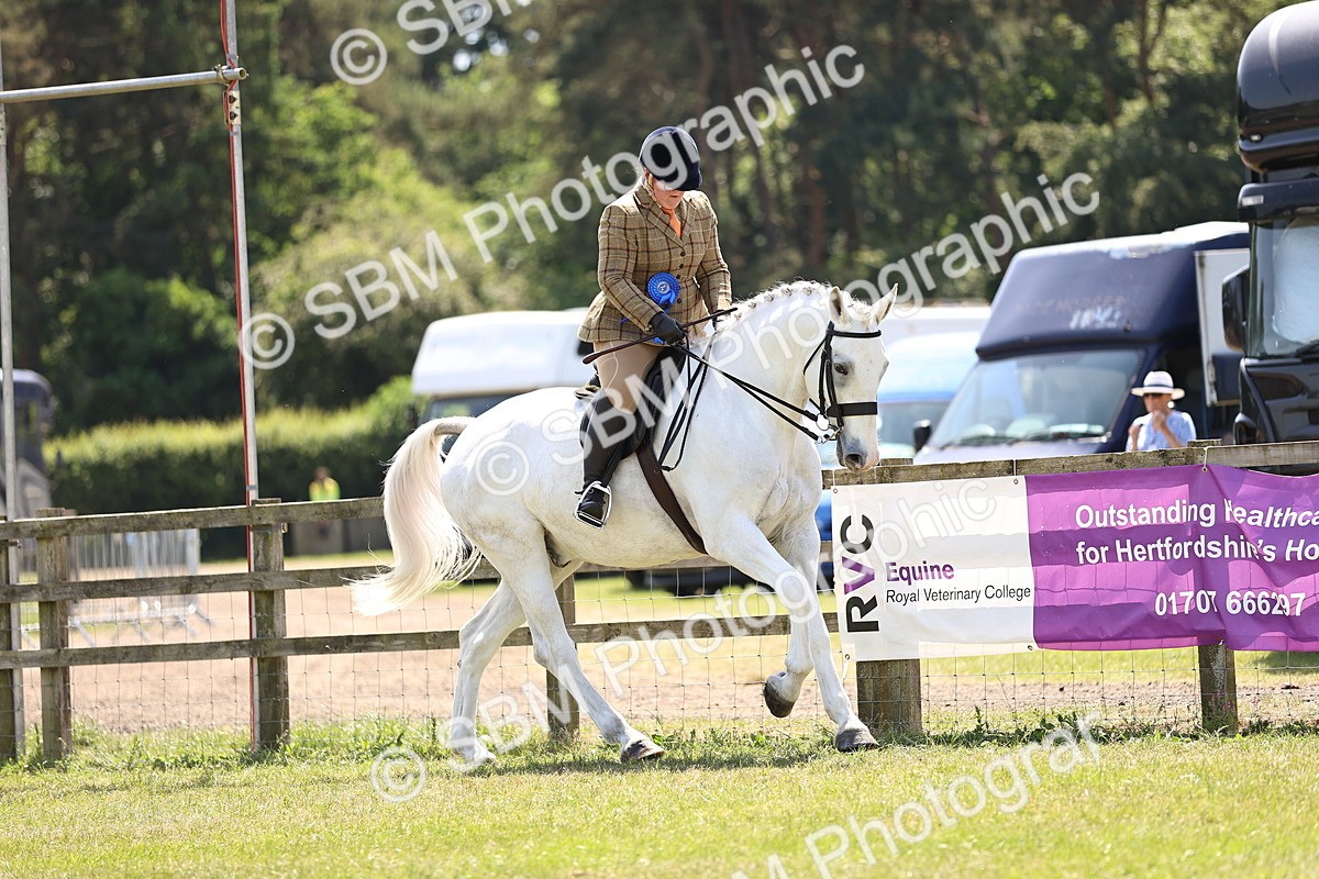 SBM_16192 - Class 79-80 - LIHS BSHA Rising Star Ridden Hunter