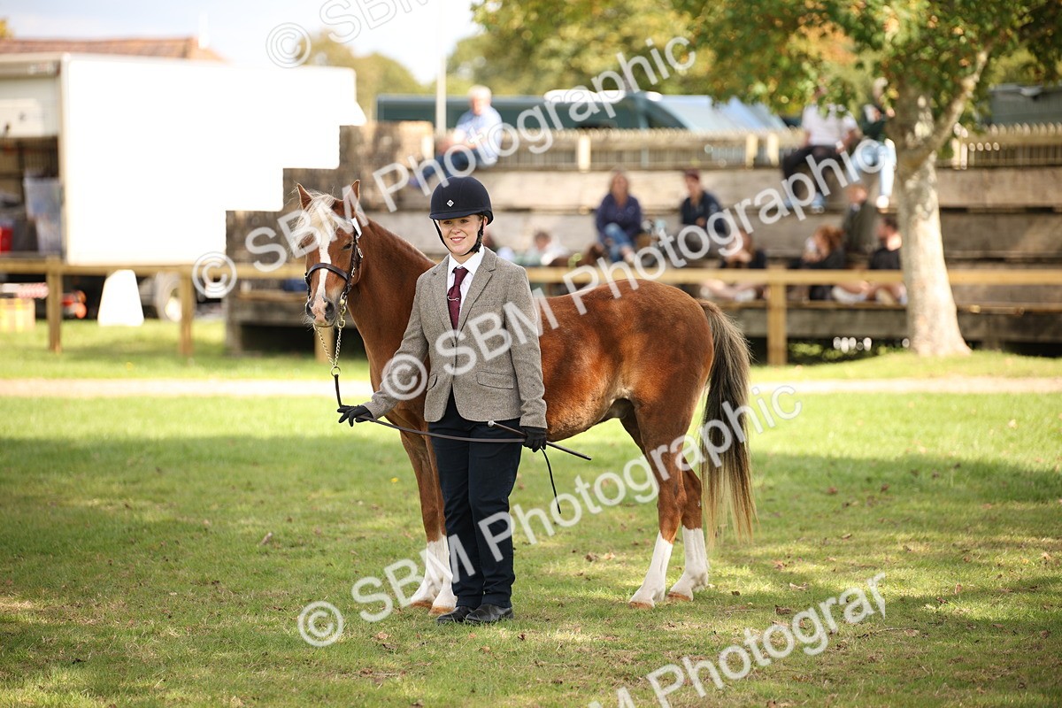 SBM_44493 - S24 - Young Veteran in hand