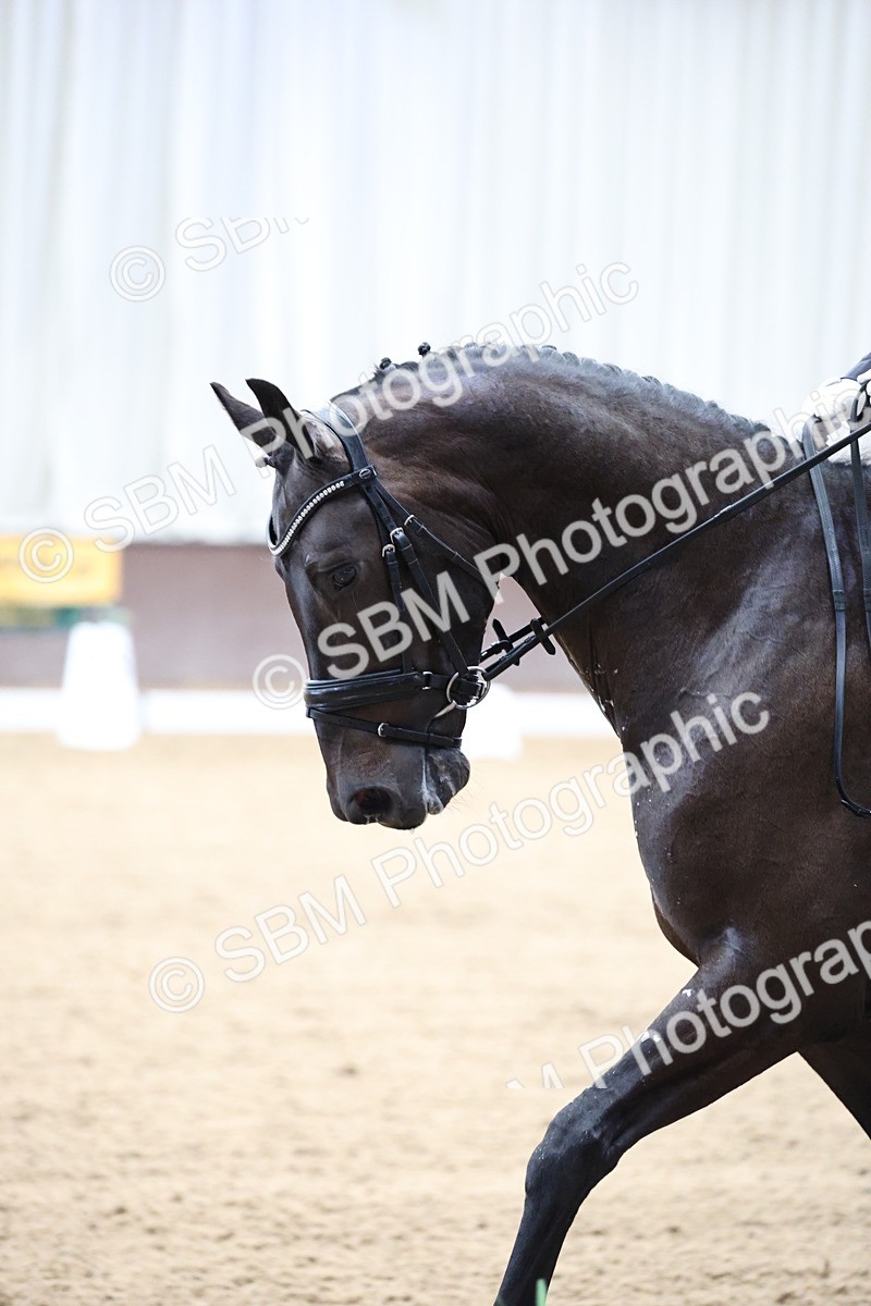 SBM_003123 - Class 5 - Novice 6 Gold - 11.41-12.51