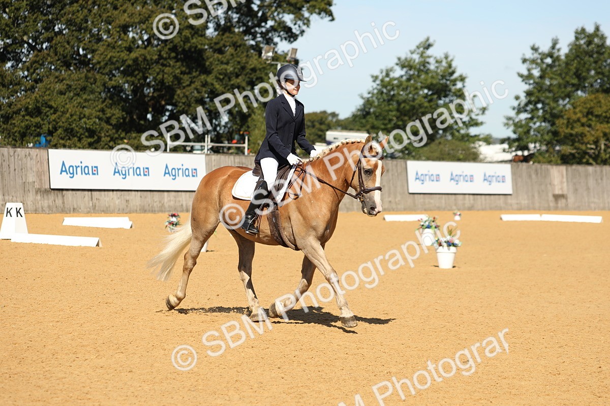 SBM_19729 - D10 - Small Tour Championship - Prelim 2