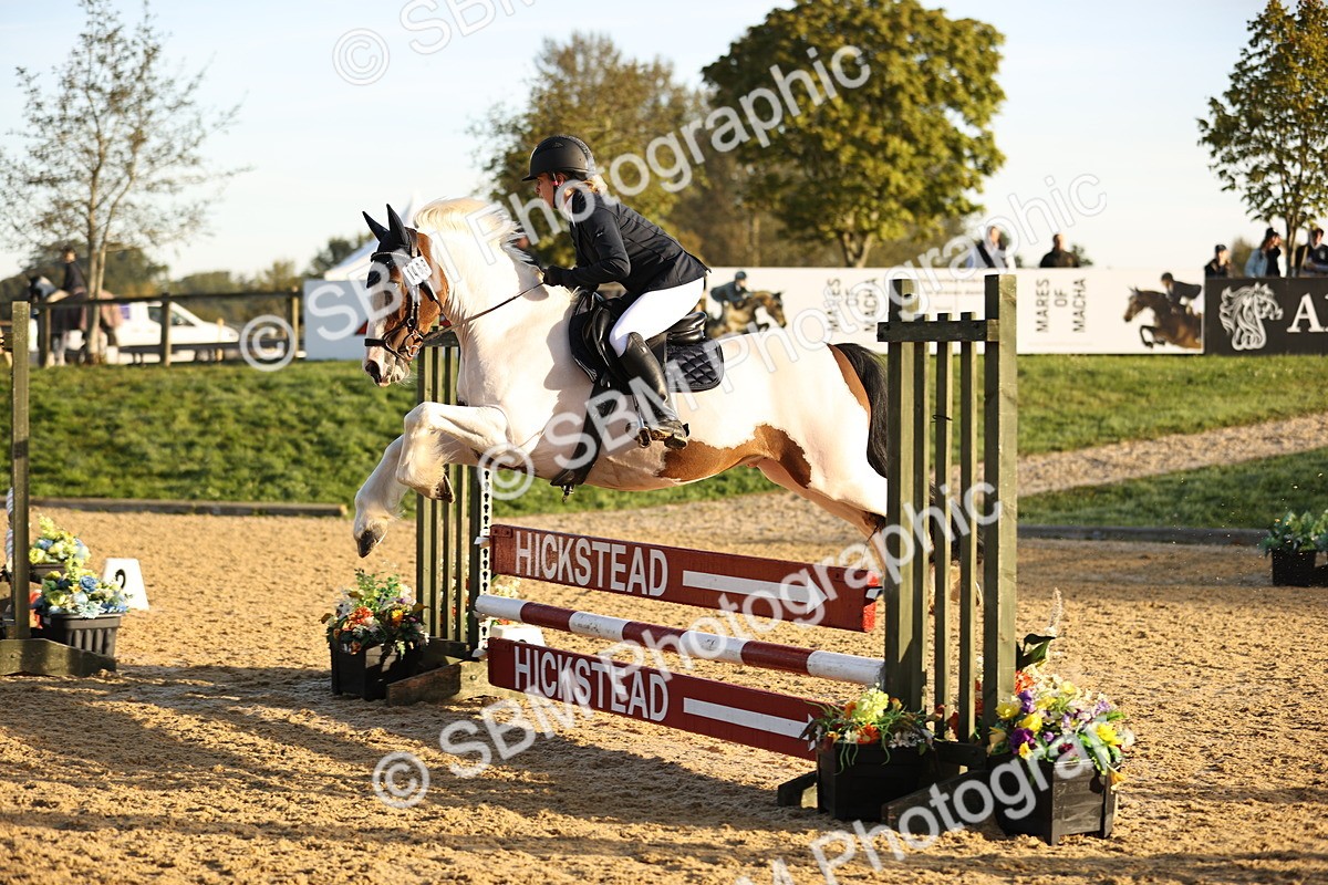 SBM_33019 - J38 - Senior 80cm Championship