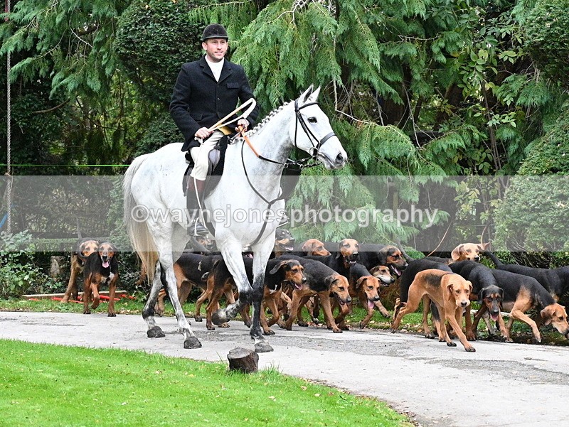 WJ7_6474 - Berks & Bucks - Children's Meet - The Old Farmhouse – Steventon.