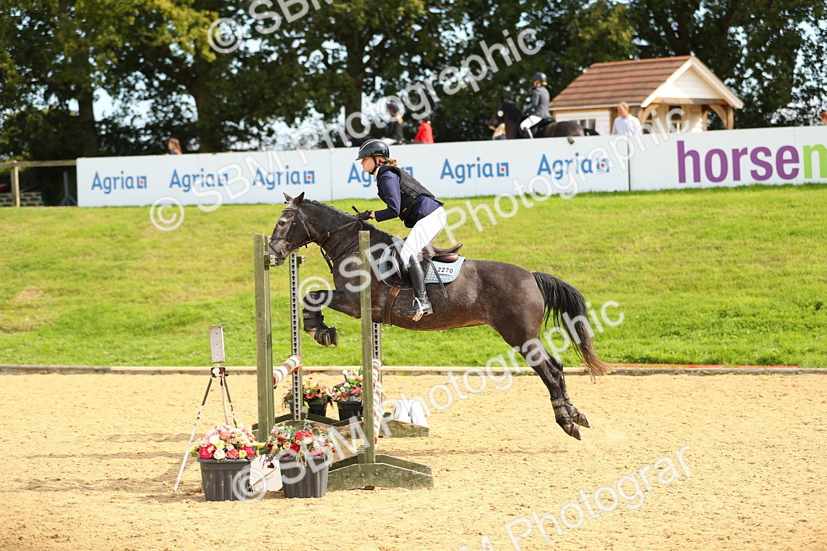 SBM_66160 - J17 - Junior Pony 80cm Championship
