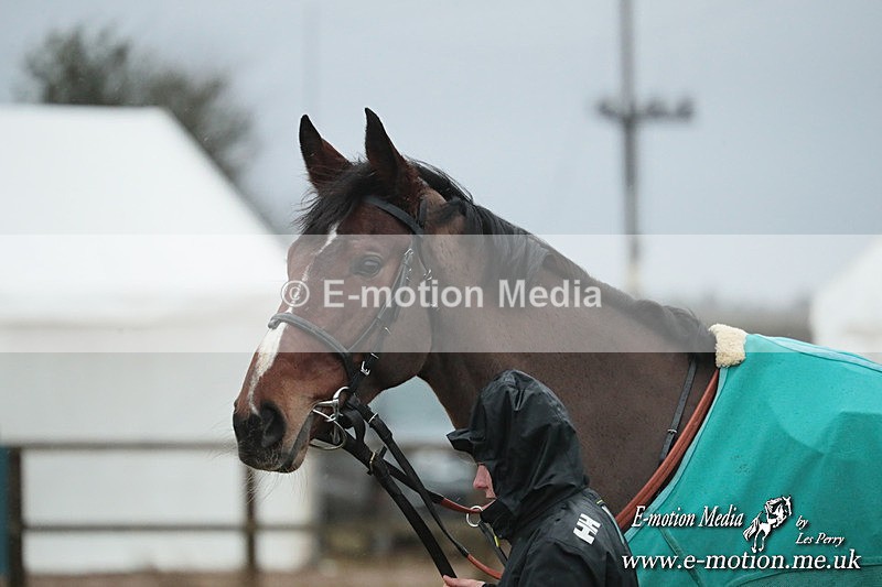 PtP 260125 950 - Cocklebarrow Point-to-Point racing with the Heythrop Hunt 26/01/25