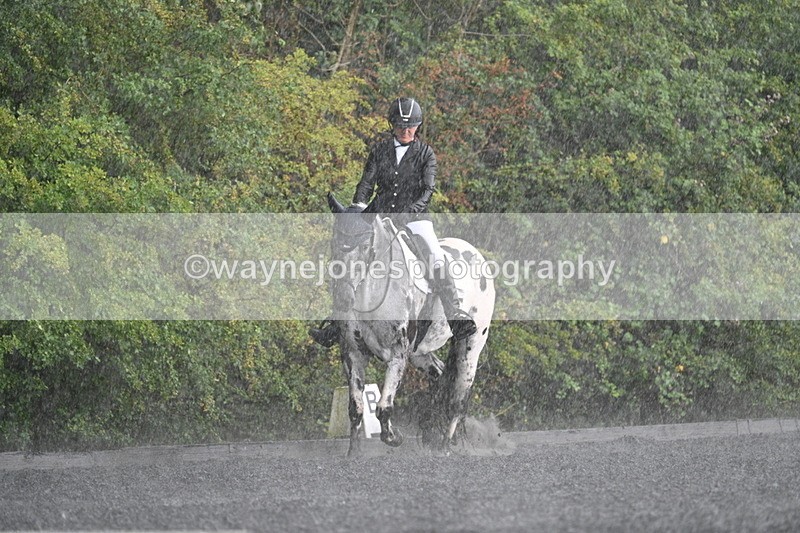 WJ7_8221 - Time 14:02 to 14:11