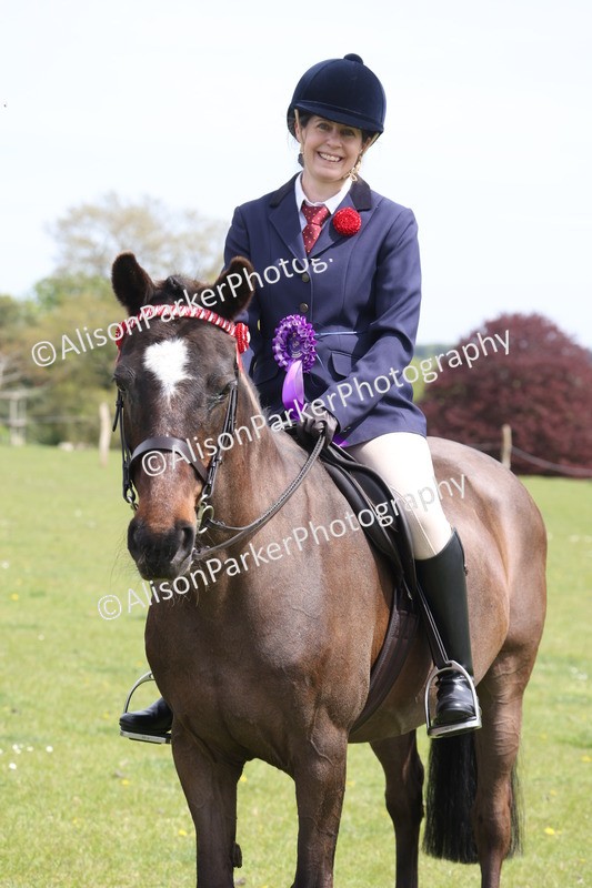 20260426-4032 - Class 33 - Best Pony 14.2hh and Under