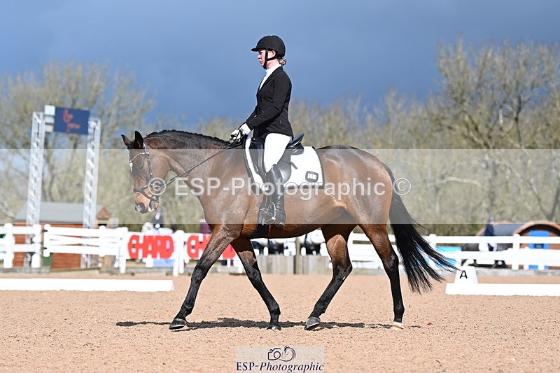 240323A-112030-02591 - DR Novice 24