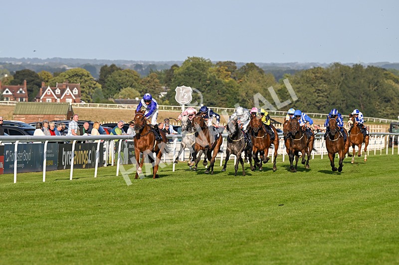 180924-Race 8-Inappropriate-5385 - Race 8