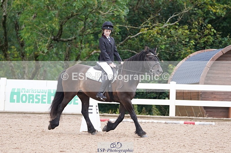 240809A-095236-00347 - Dressage Competition