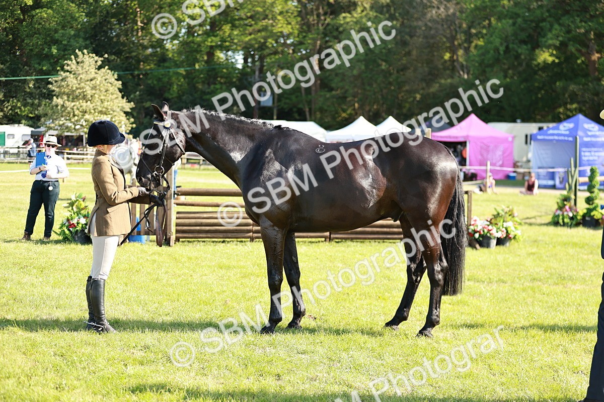 SBM_19294 - Class 115-116 - LIHS BSHA Rising Star Working Hunter & Show Horse