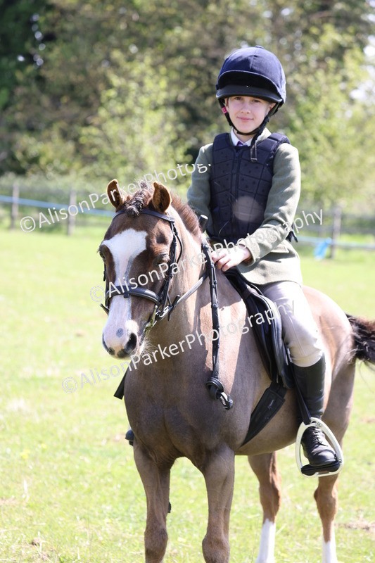 20250427-3274 - Class 33 - Best Pony 14.2hh and Under
