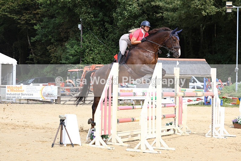 3E7A4301 - Class 8: Senior Foxhunter/1.20 open