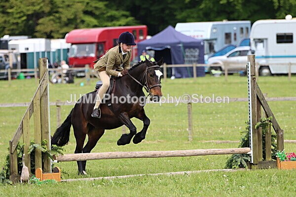 IMG_2475 - Working Hunter